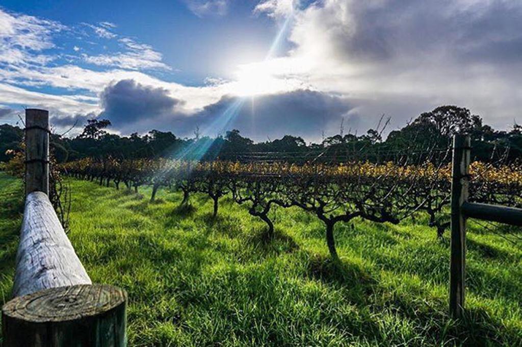 Island Brook Estate Winery And Chalets Margaret River Exterior photo